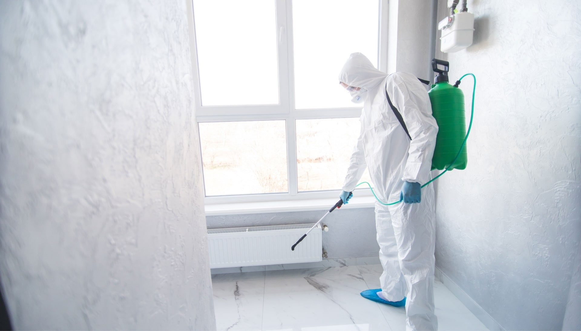 We provide the highest-quality mold inspection, testing, and removal services in the Boynton Beach, Florida area.